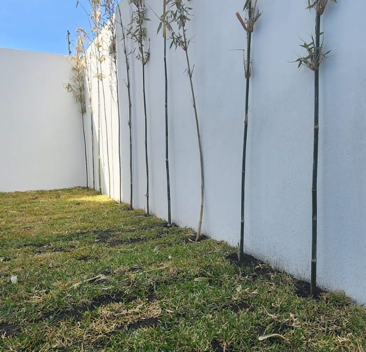 Casa en venta en Cuayantla