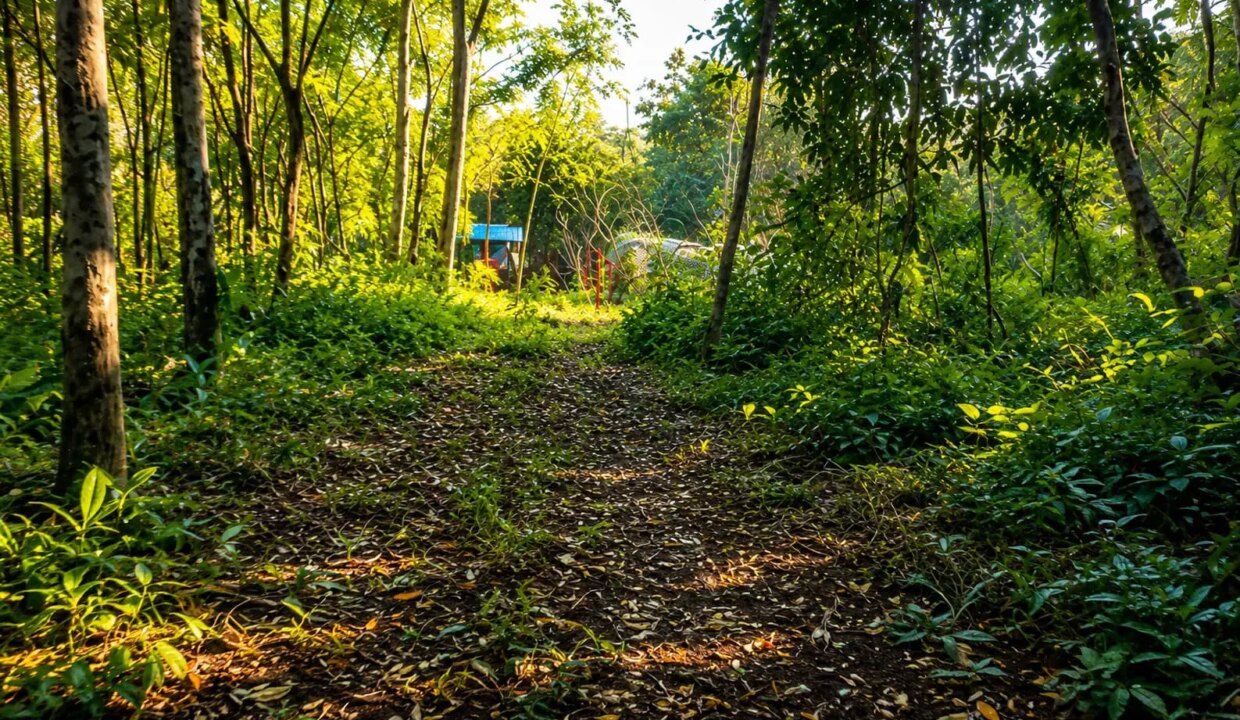 Terreno en venta Puerto Morelos