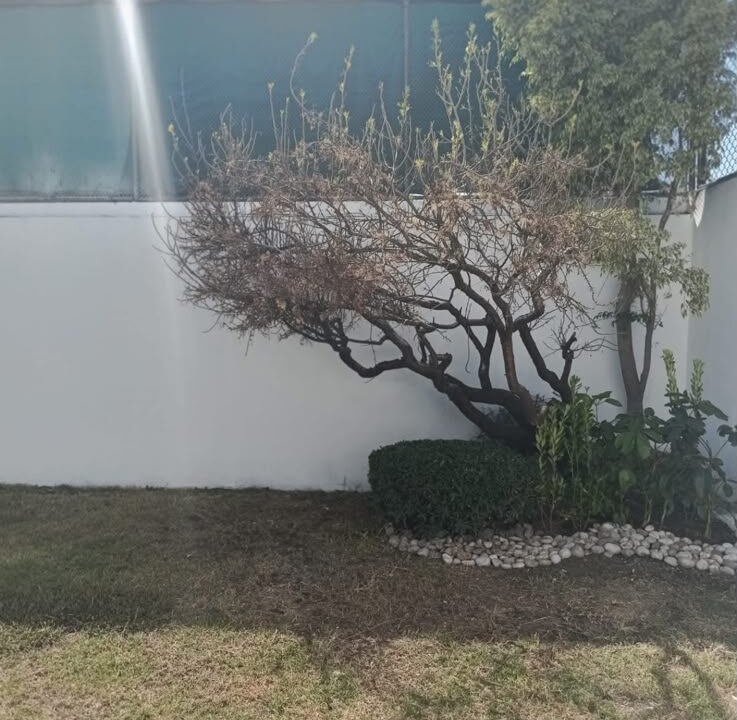 Casa en venta Fraccionamiento Quetzalcóatl